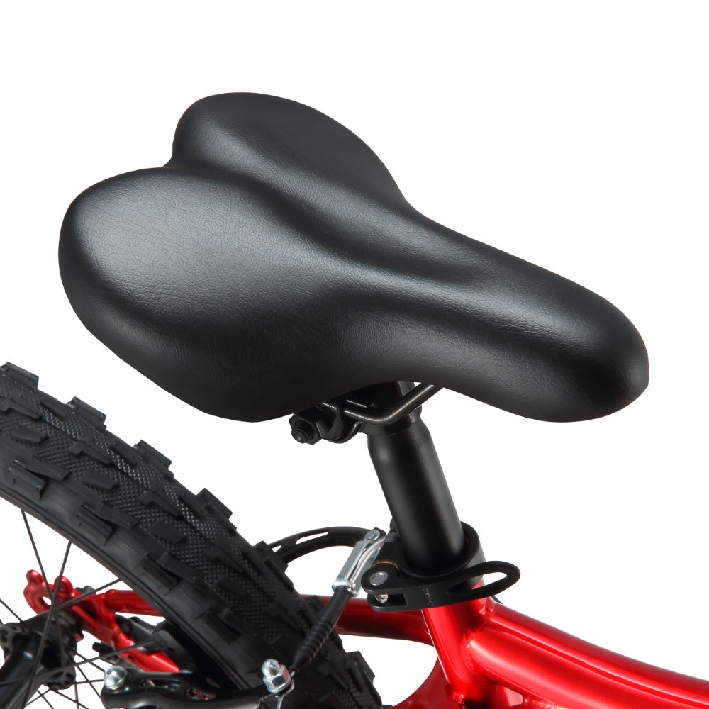 Bicicleta Infantil Drako Aro 20