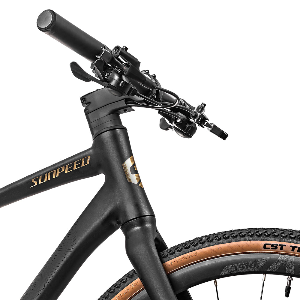 Bicicleta Sunpeed Kepler 24S DCR - 8
