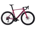 Bicicleta Sunpeed Victory Expert Plus