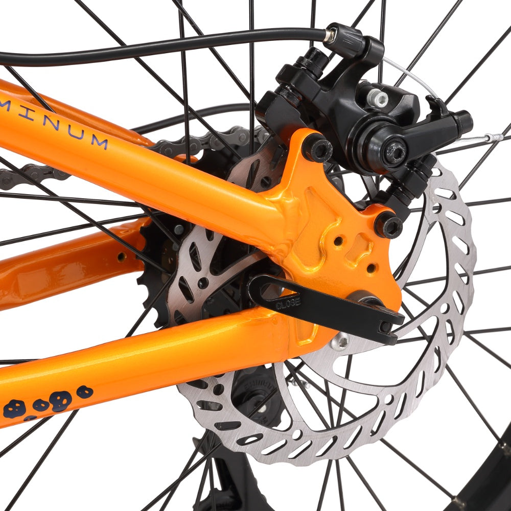 Bicicleta Infantil Drako Suspensión Aro 20