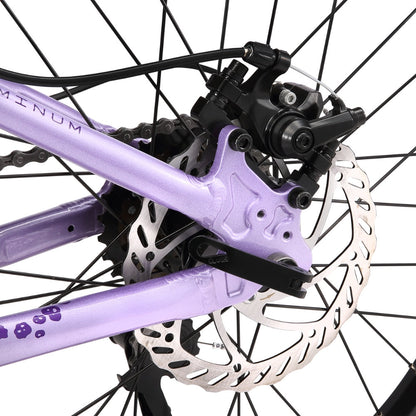 Bicicleta Infantil Luna Suspensión Aro 20