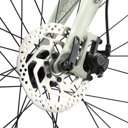Bicicleta Stardust 4
