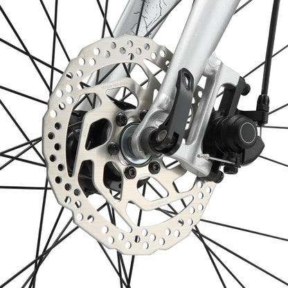 Bicicleta Stardust 5