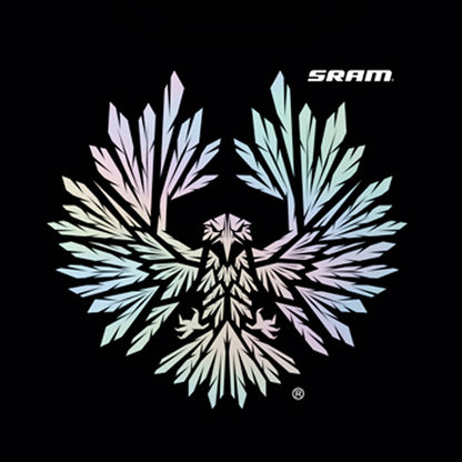 Polera Eagle Rainbow — Talla S
