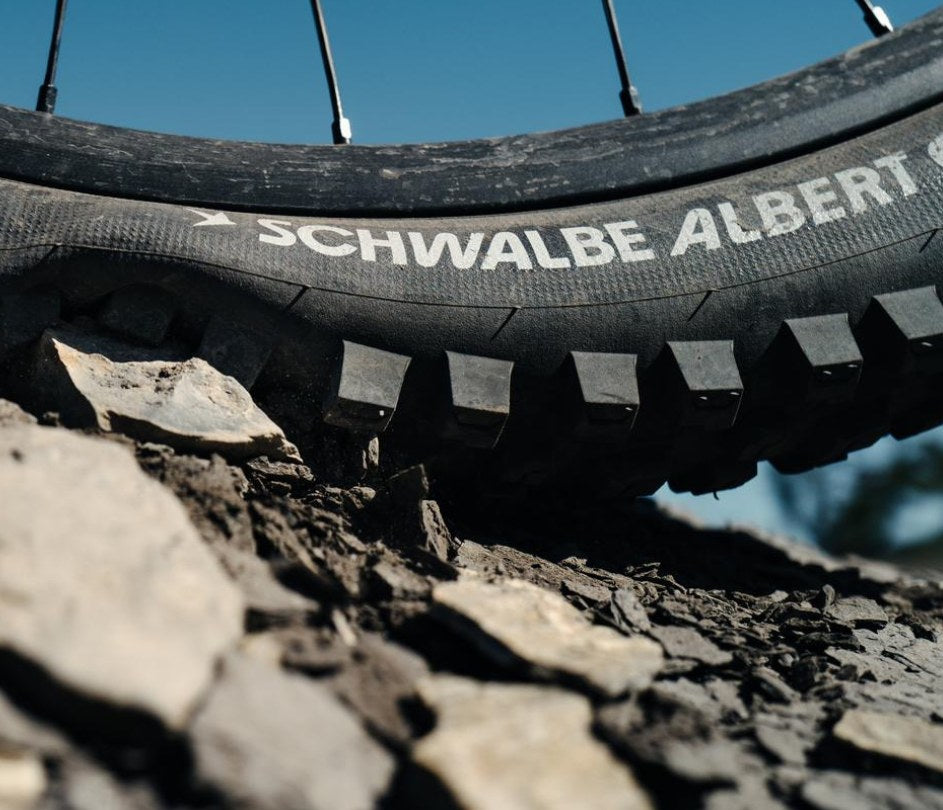 Neumatico Schwalbe Albert gravity mordiendo terreno rocoso